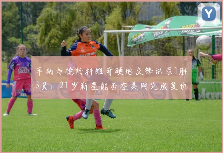辛纳与德约科维奇硬地交锋记录1胜3负，21岁新星能否在美网完成复仇？