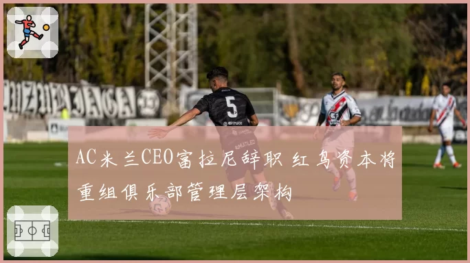 AC米兰CEO富拉尼辞职 红鸟资本将重组俱乐部管理层架构