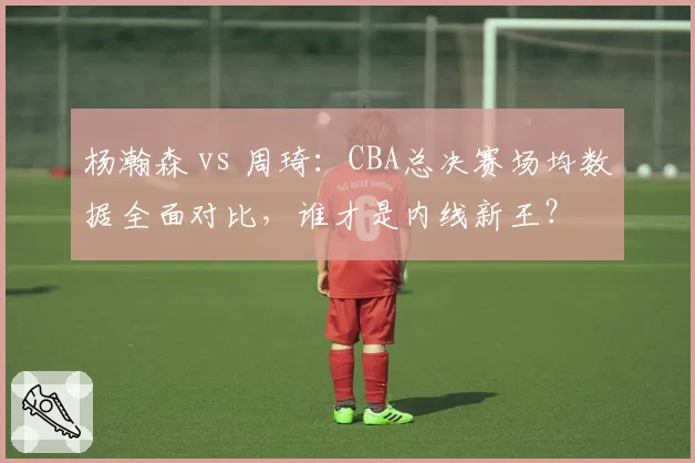 杨瀚森 vs 周琦：CBA总决赛场均数据全面对比，谁才是内线新王？